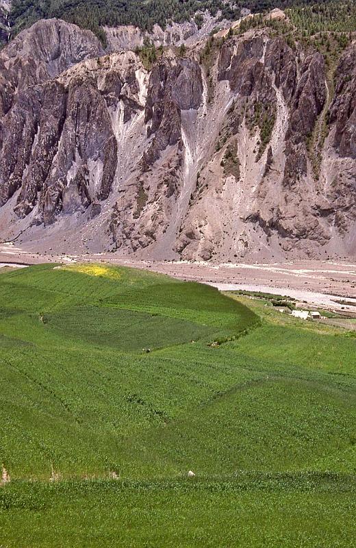 WT 1000 167-06 Nepal.jpg